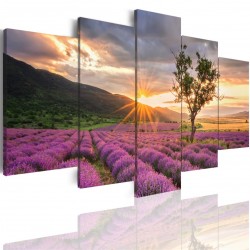 Canvas image spread on the frame 502