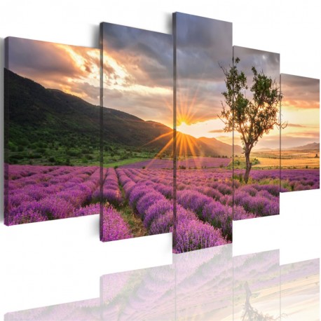 Canvas image spread on the frame 502