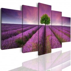 Canvas image spread on the frame 503