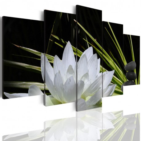Canvas image spread on the frame 504