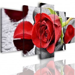 Canvas image spread on the frame 513