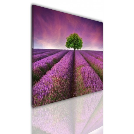 Canvas image spread on the frame 524