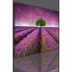 Canvas image spread on the frame 524