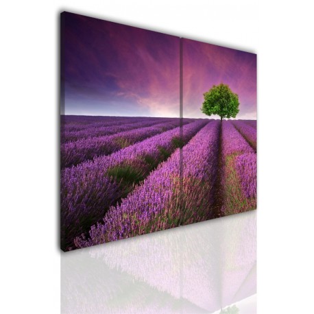 Canvas image spread on the frame 531