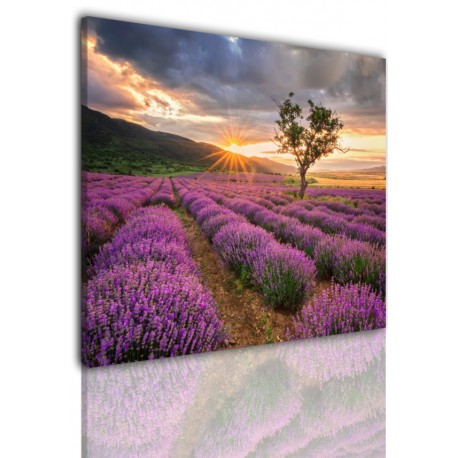 Canvas image spread on the frame 537
