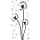 Wall sticker pattern dandelions no. 36