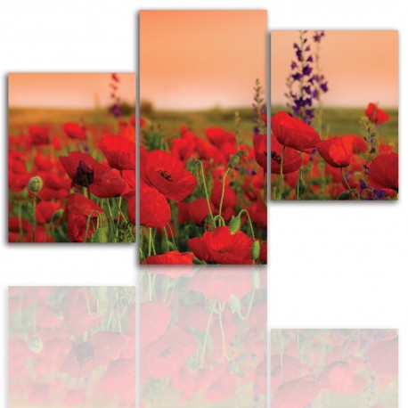 Canvas image spread on the frame 12009