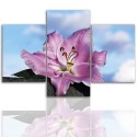 Canvas image spread on the frame 12261