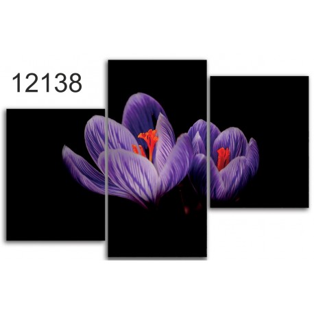 Canvas image spread on the frame 12138