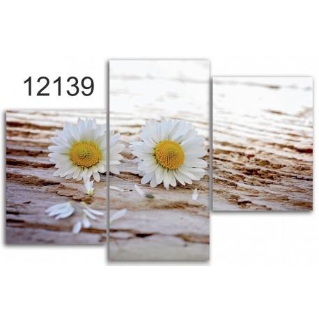 Canvas image spread on the frame 12139