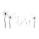 Wall sticker pattern dandelions no. 4